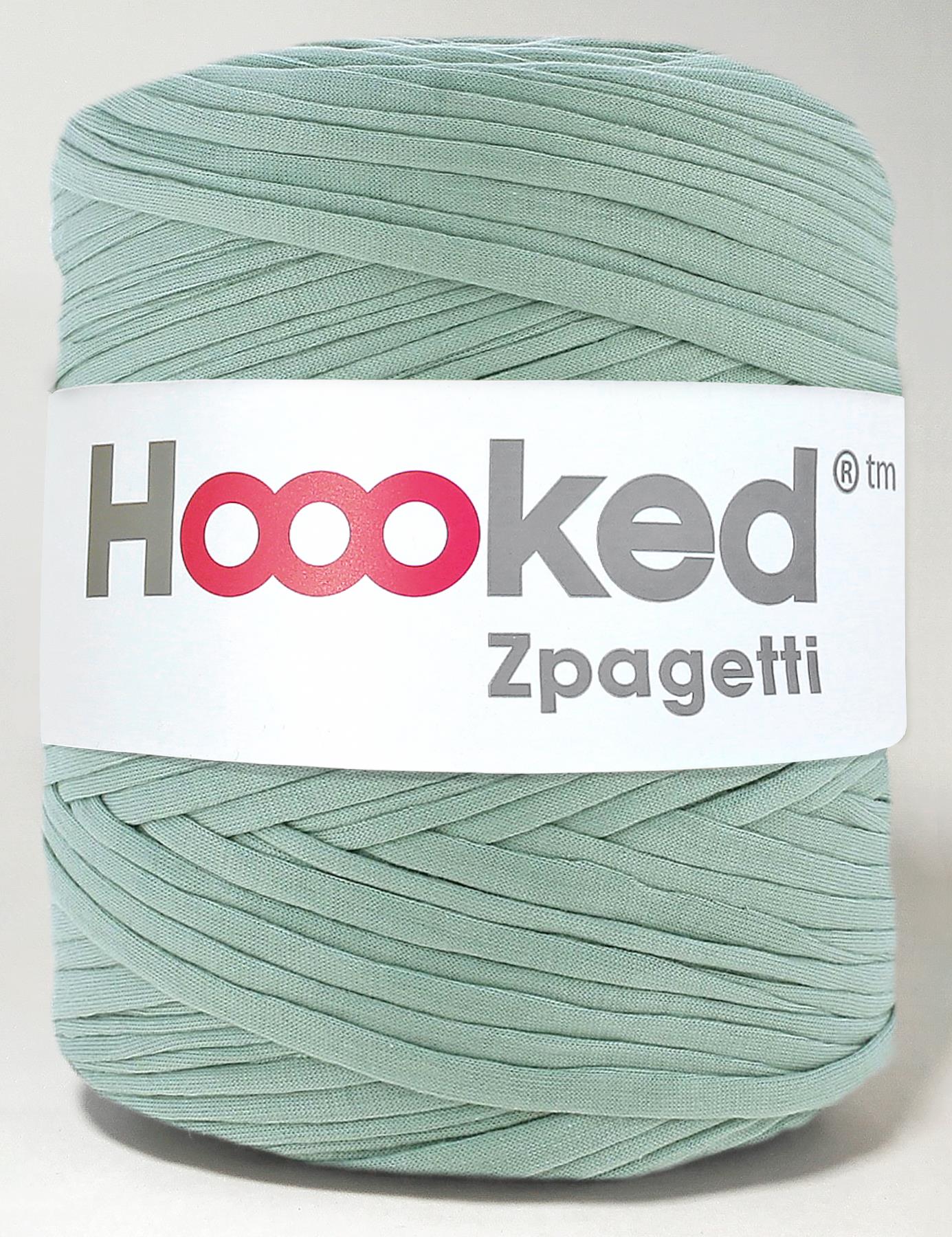 Pale sage green t-shirt yarn by Hoooked Zpagetti (100-120m)