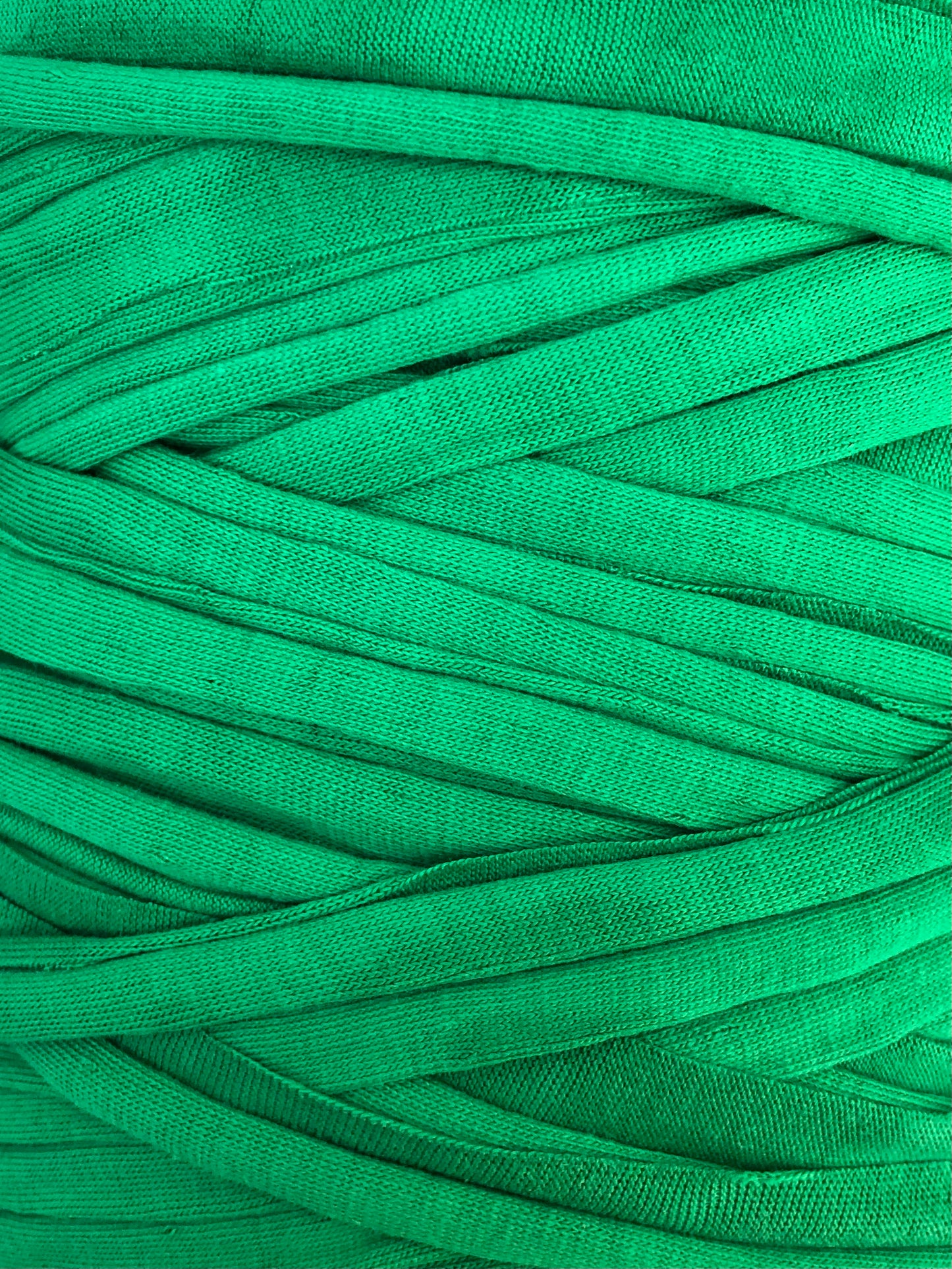 [CLEARANCE] Jade green t-shirt yarn (100m)