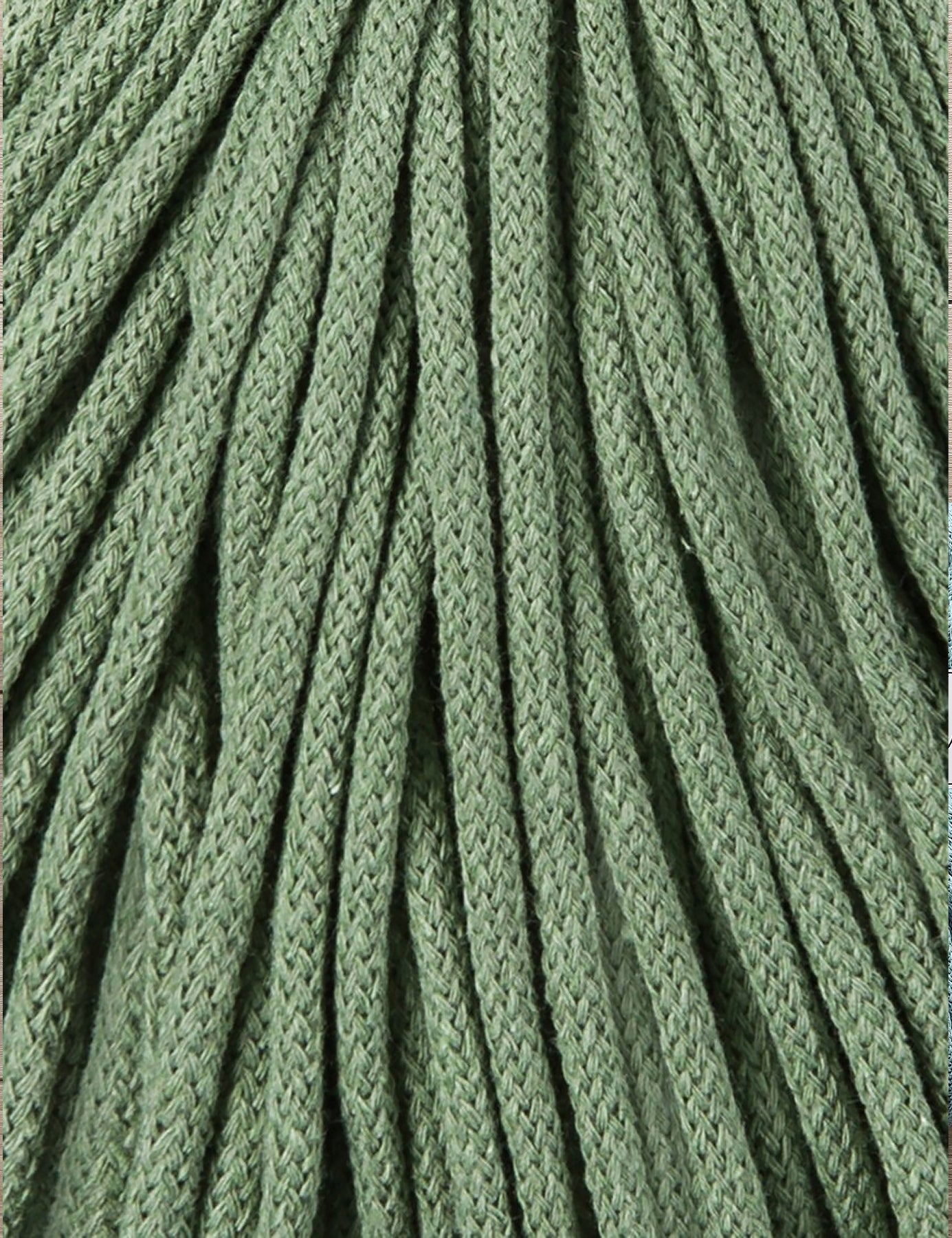 Bobbiny Eucalyptus Green 5mm Braided Macrame Cord (100m)