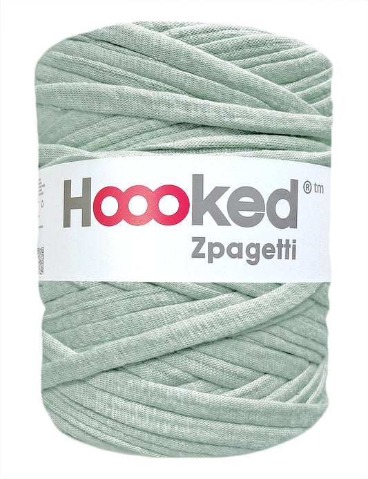 Shiny light sage t-shirt yarn by Hoooked Zpagetti (100-120m)